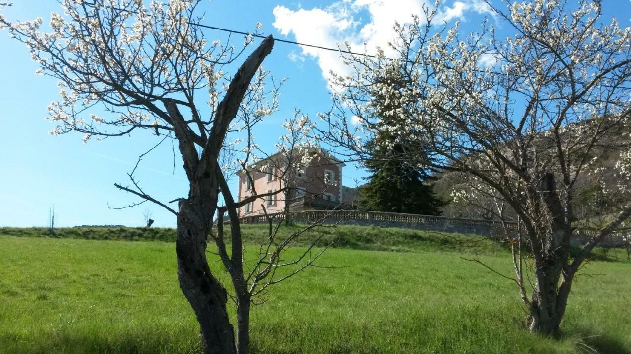 La Villa Du Collet La Penne Екстериор снимка